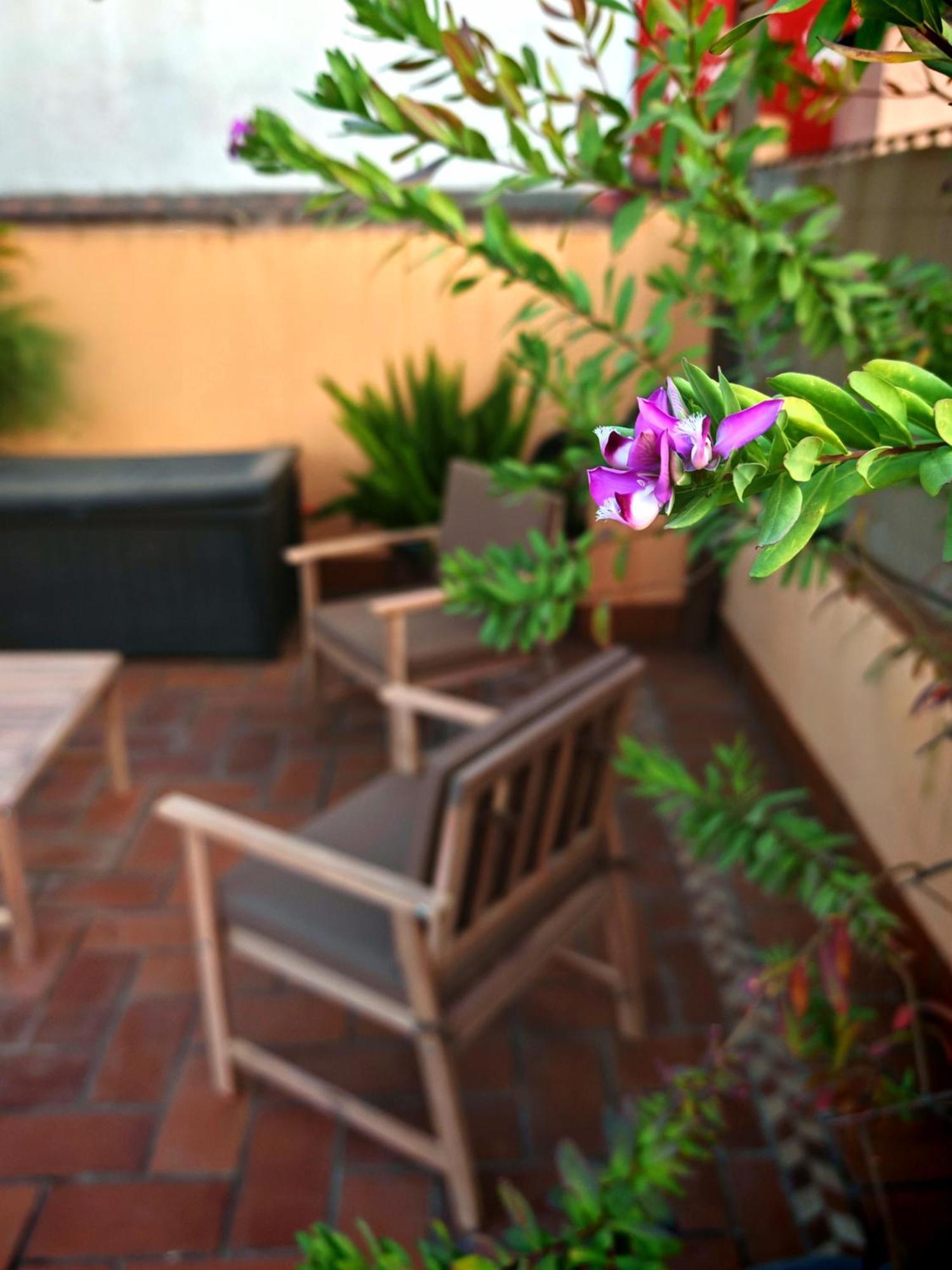 Luxury Rooftop - Space Maison Apartments Seville Exterior photo