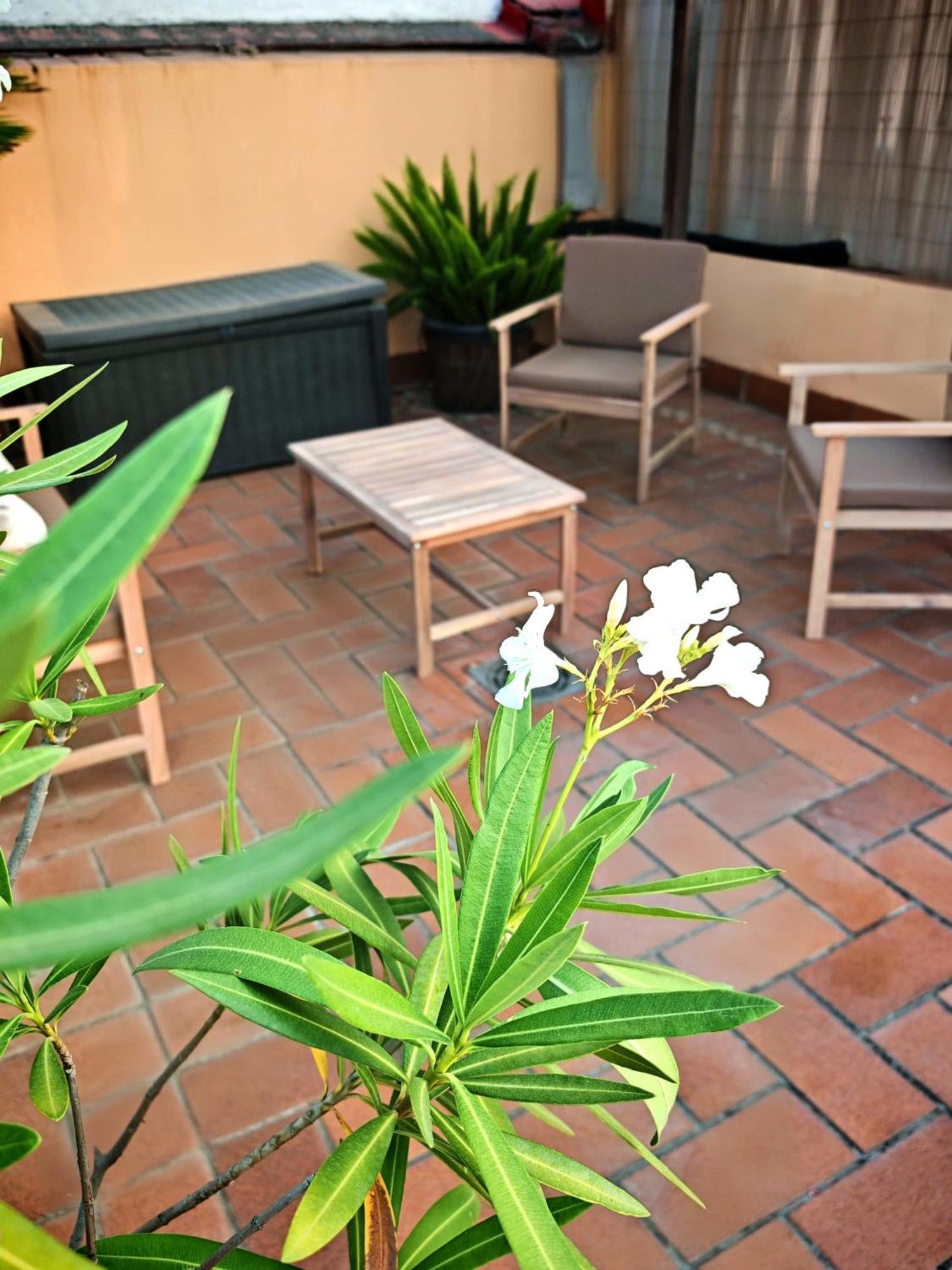 Luxury Rooftop - Space Maison Apartments Seville Exterior photo
